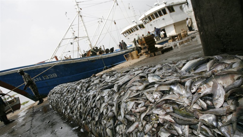 Côte d’Ivoire : Comment les zones de pêches sont surexploitées