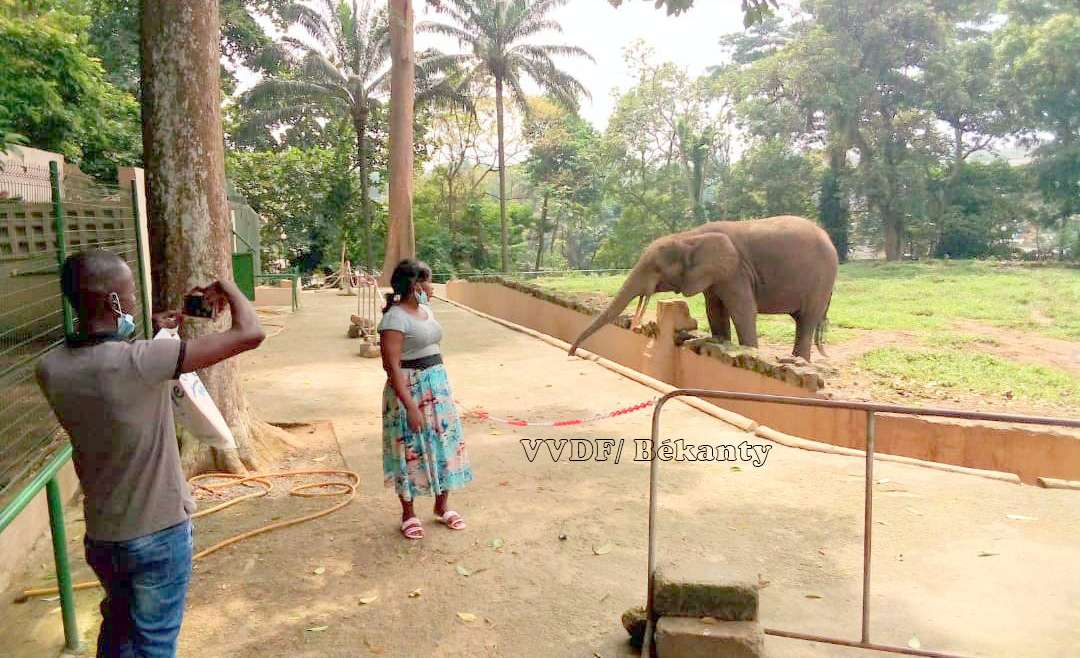 Zoo national d’Abidjan : vers une renaissance ?