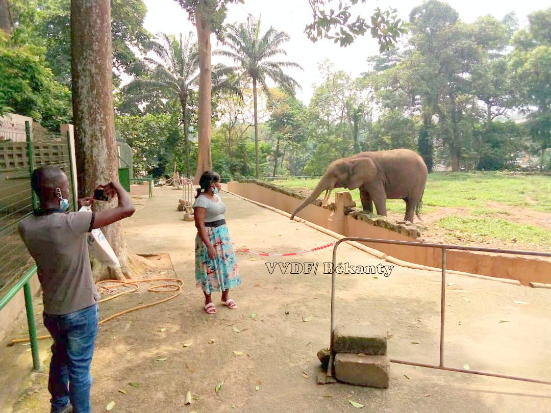 Zoo national d’Abidjan : vers une renaissance ?