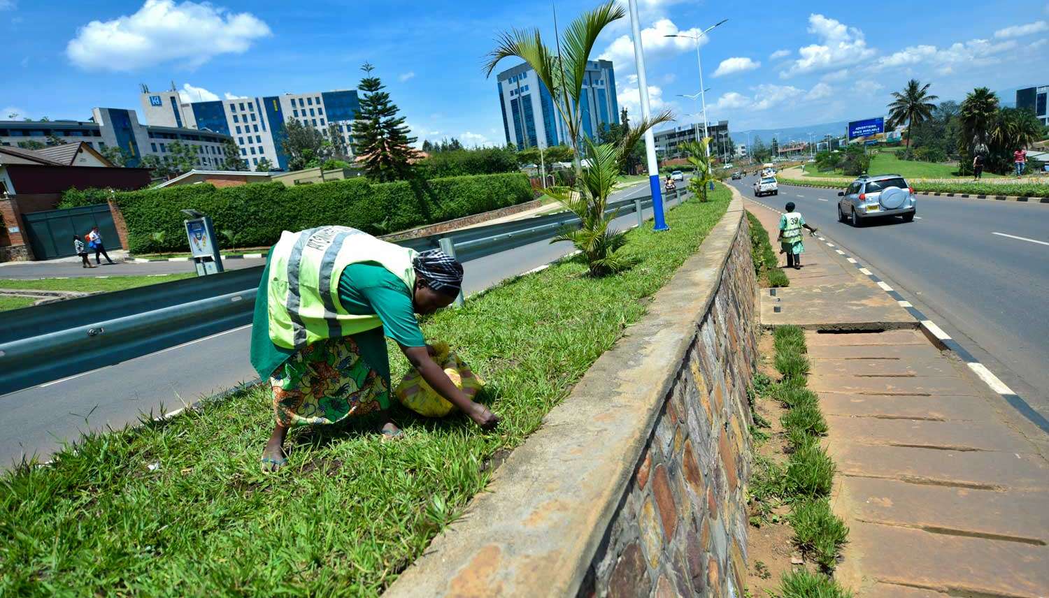 Création des espaces verts : quand les autorités prennent conscience de ces bienfaits