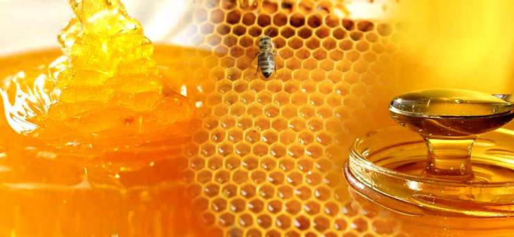 Santé : le miel et ses bienfaits