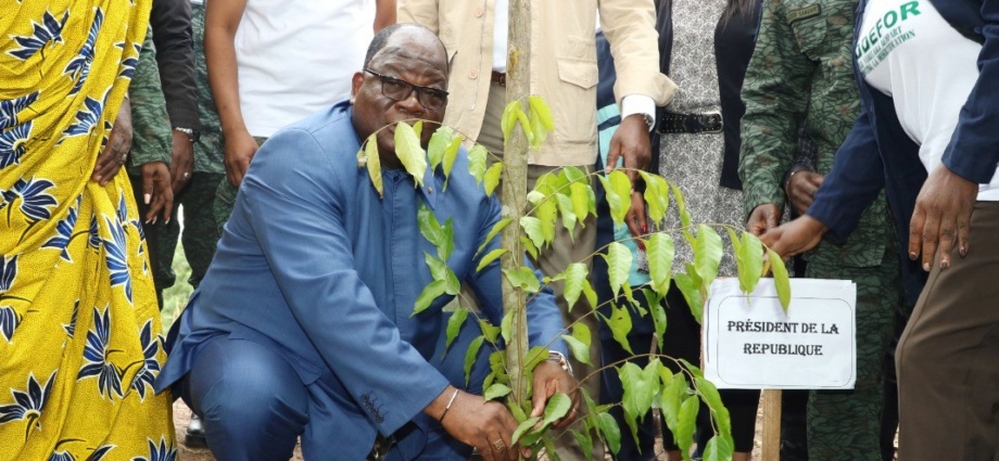 Côte d’Ivoire/Le ministre des Eaux et Forêts invite les populations à profiter de la période pluvieuse pour reboiser