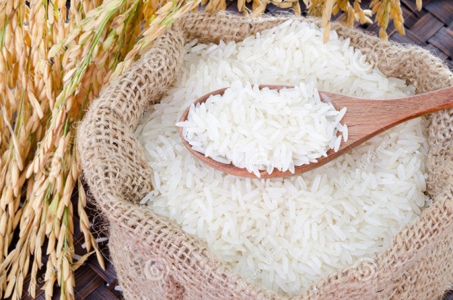Production du riz en Côte d’Ivoire : ces facteurs qui bloquent l’autosuffisance