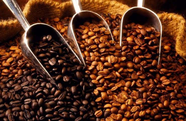<strong>Gagnoa : pourquoi la production du café a-t-elle baissé ?</strong>