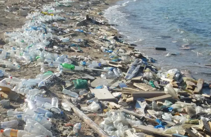 Journée internationale de l’environnement, la Côte d’Ivoire honorée