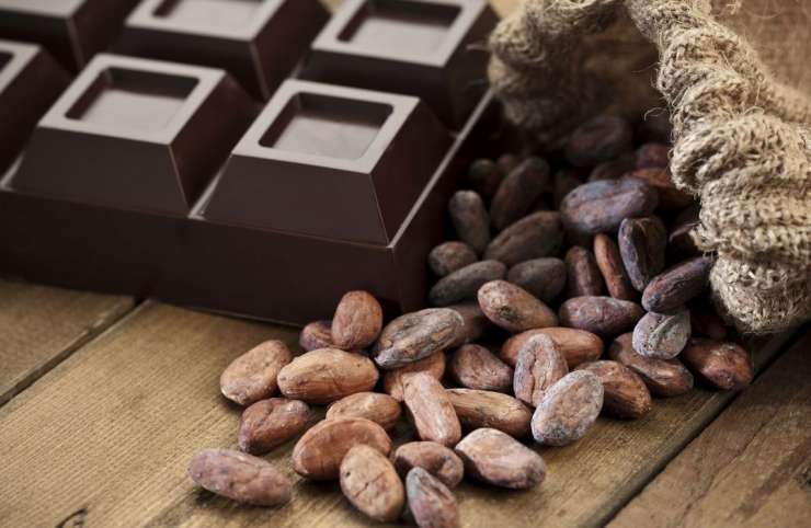 Filière cacao : Les enjeux et défis de la filière
