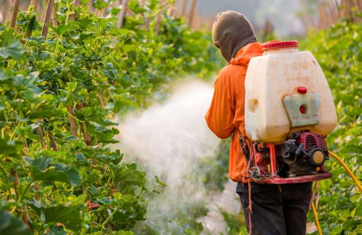 Pesticide dans l’agriculture, attention danger