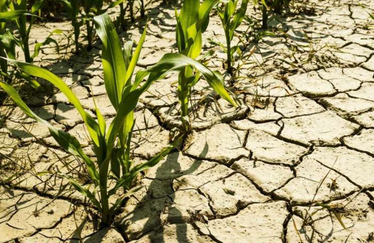 Climat: La Sodexam annonce des périodes de sécheresses prolongées