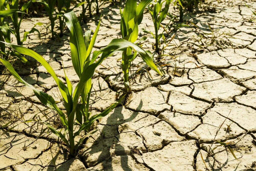 Climat: La Sodexam annonce des périodes de sécheresses prolongées