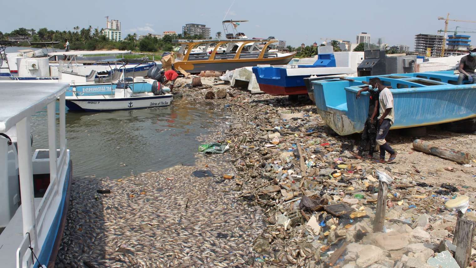 Baie de Anoumabo: L’expertise du Ciapol