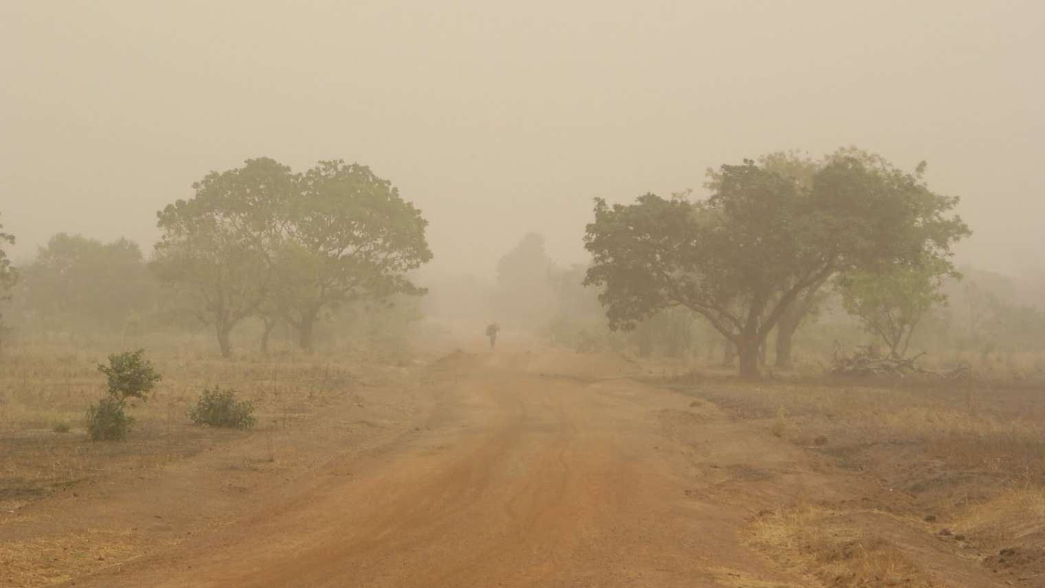 Changement climatique : L’harmattan se prolonge